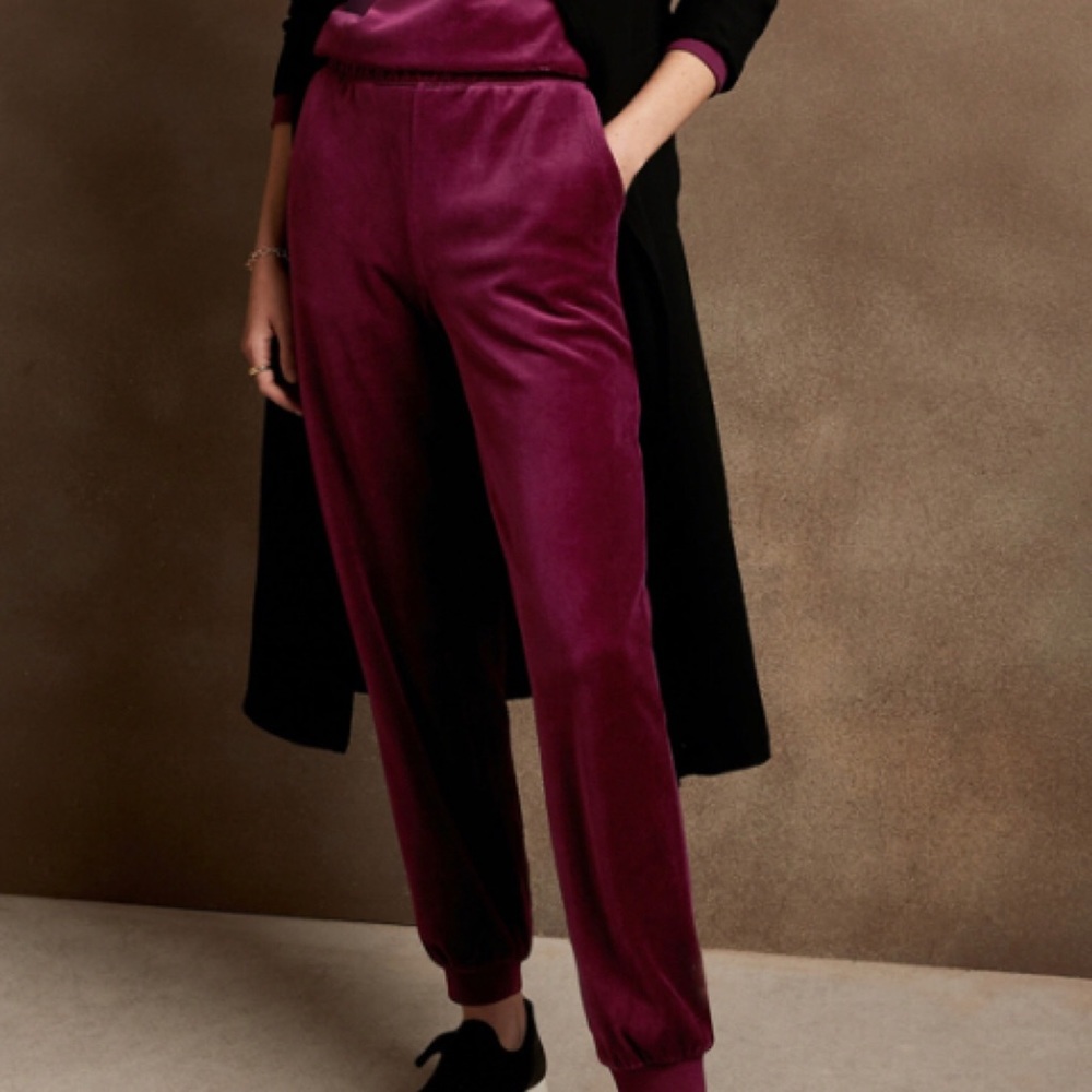 WILD FABLE Women Burgundy Velour Jogger Pants | M